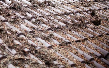 North Brentor roof cleaning companies